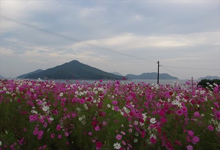 IMGP1082_1011