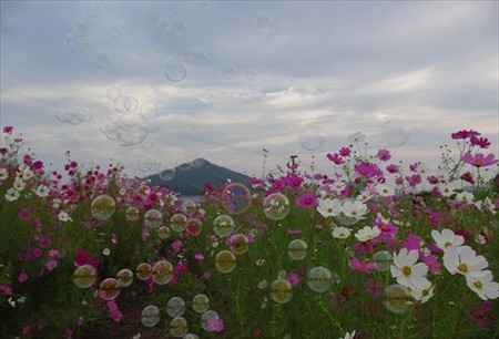 IMGP1109_1011