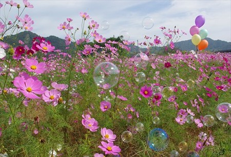 IMGP1509_1011