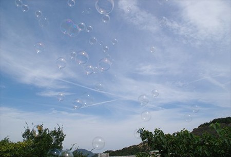 IMGP2474_1012
