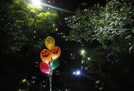 IMGP7398_1015
