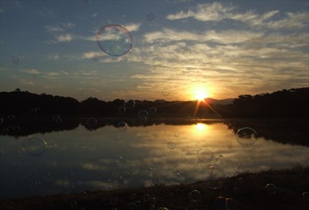 DSCF9333_1018