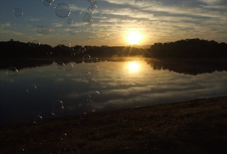 DSCF9414_1018