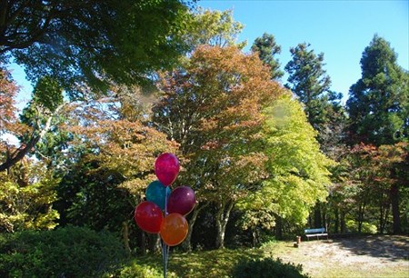 IMGP1802_1019