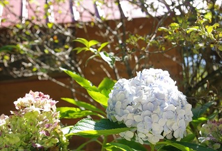IMGP2109_1019