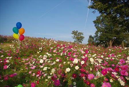 IMGP2489_1019