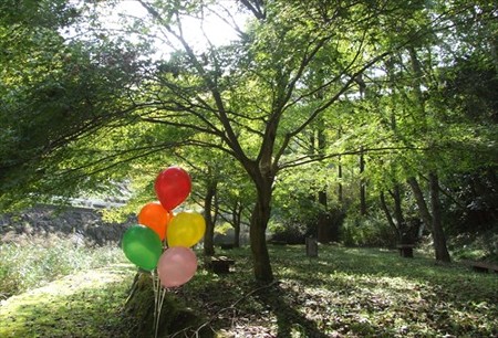 DSCF9487_1021
