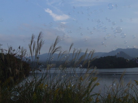 DSCF9836