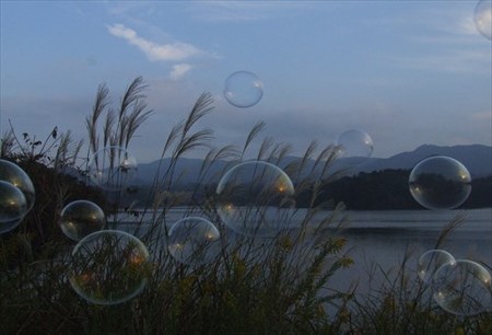 DSCF9844_1021