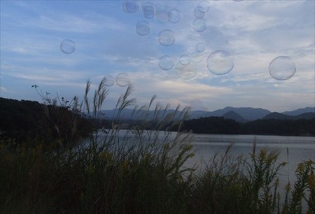DSCF9912_1021