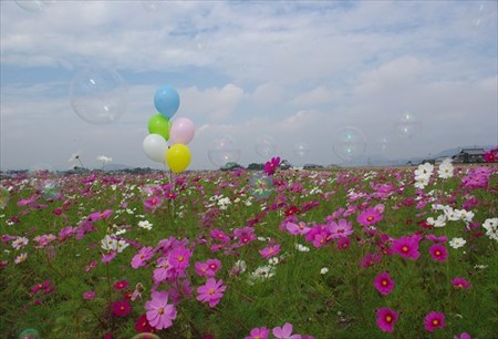 IMGP2655_1025