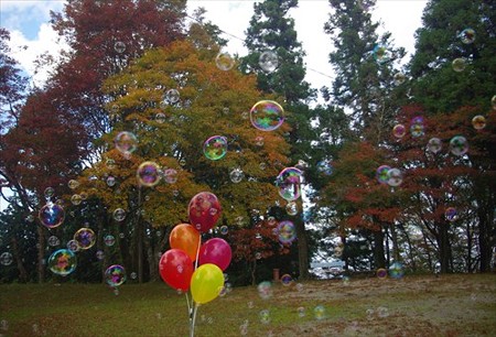 IMGP3033_1025