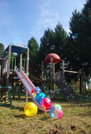 IMGP3393_1026
