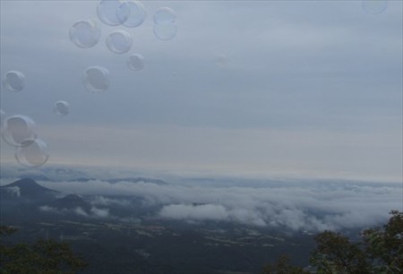 DSCF0123_1101