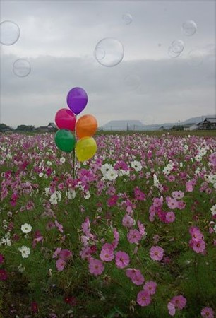 IMGP0741_1102