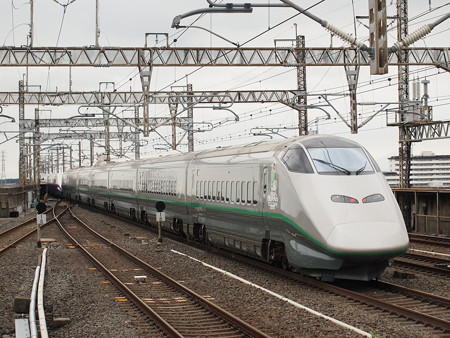 E3系つばさ 東北新幹線小山駅01