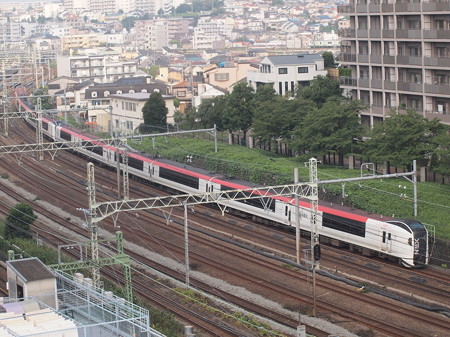 E259系特急成田エクスプレス 横須賀線横浜~武蔵小杉