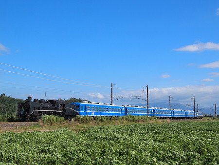 C56 SL北びわこ回送 北陸本線河毛~虎姫