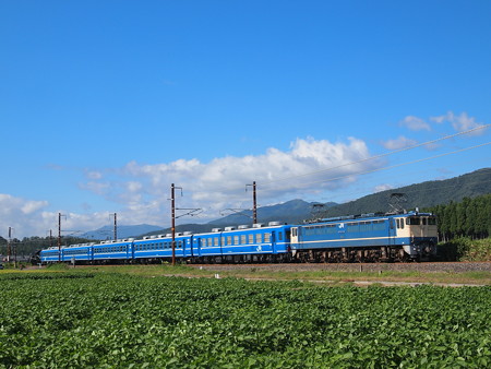 EF65 SL北びわこ回送 北陸本線河毛~虎姫