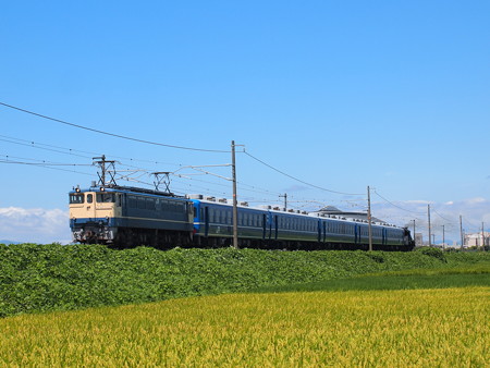 EF65 SL北びわこ回送 北陸本線田村~坂田
