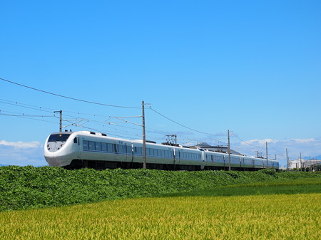 681系特急しらさぎ 北陸本線田村~坂田