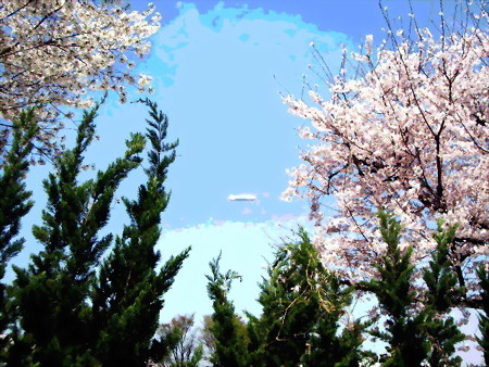 桜と飛行船-02