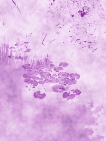 睡蓮_2015.06.20.-02d