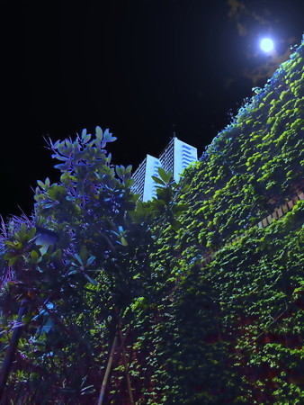 metropolis_新宿-08a