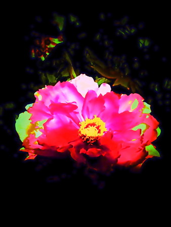 紅い花-01b