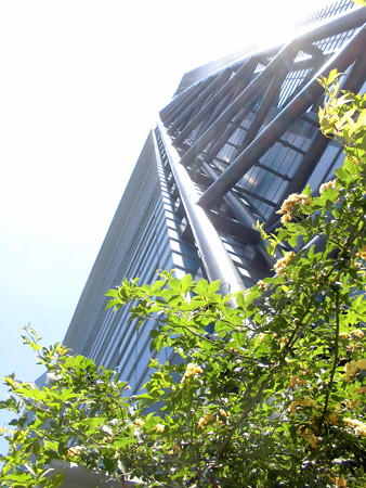 Metropolis_新橋-14