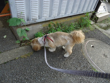 DSC09604
