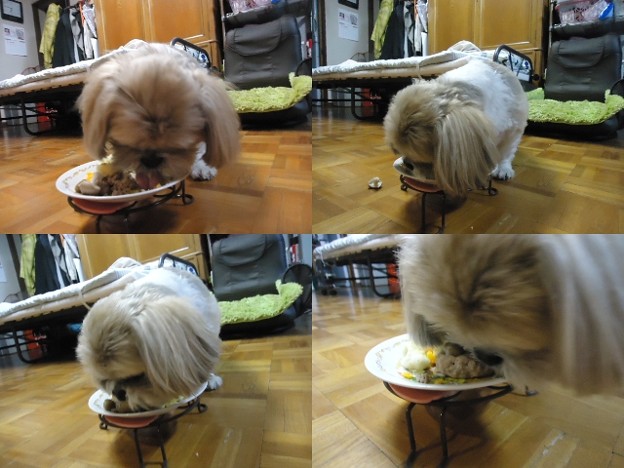 お誕生日美味しいね