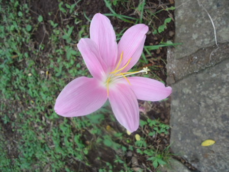 DSC09874