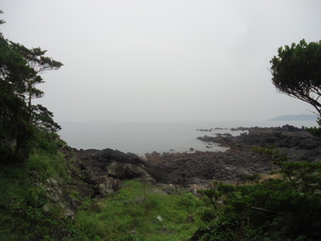 DSC09876