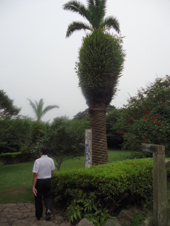 DSC09872
