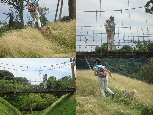 つり橋