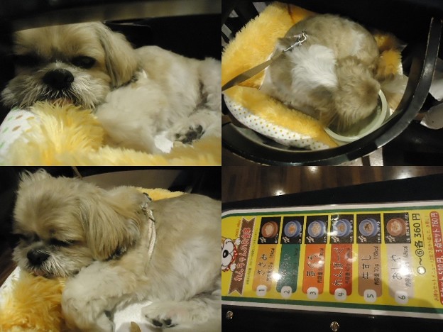 ワンパラ食堂