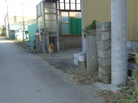 DSC00301