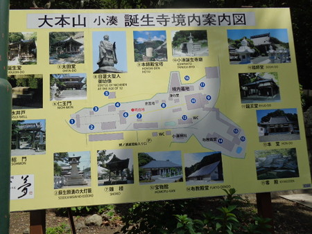 DSC00249