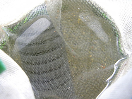 2011/07/20 002
