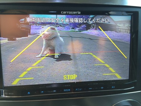 2015年8月　バックカメラ　確認