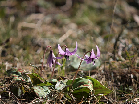 P3250881