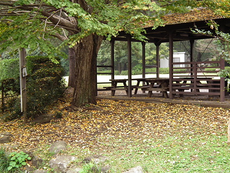 智光山 030