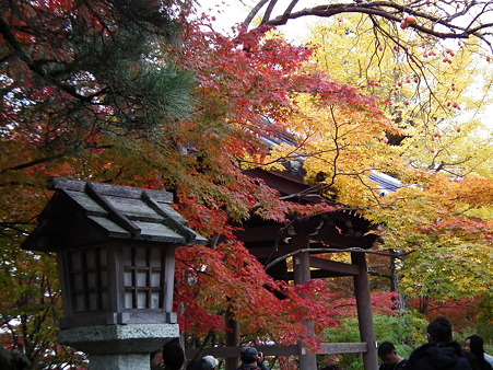 京都 284