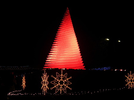 昭和記念公園 230