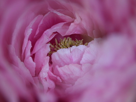 DSCF0057