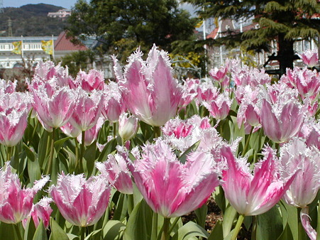 P3100113