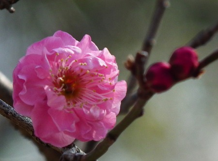 DSCF0120