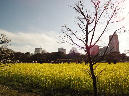 DSCF0326