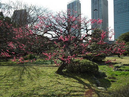 DSCF0200